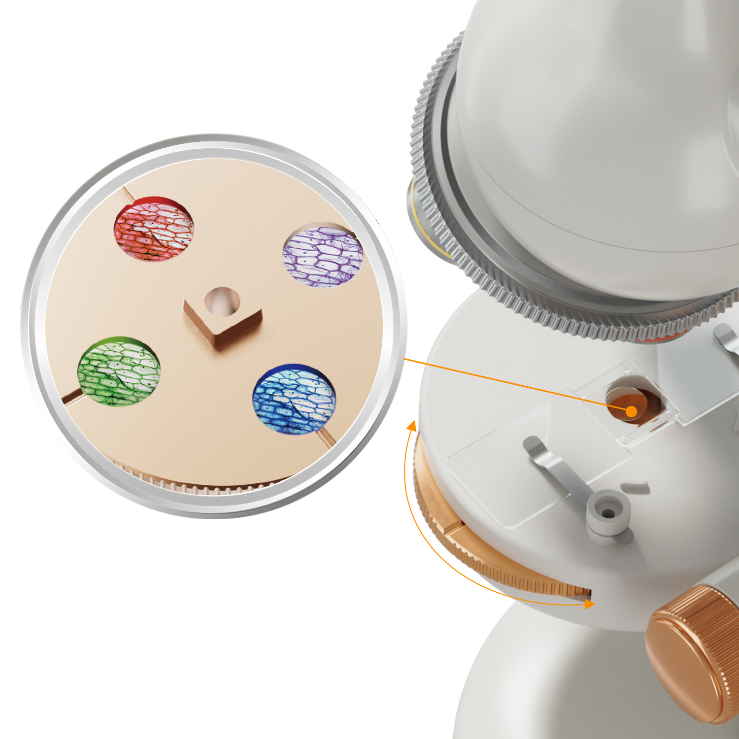 Mikroskop 1600 Labor Set /Microsope 1600 Lab Set