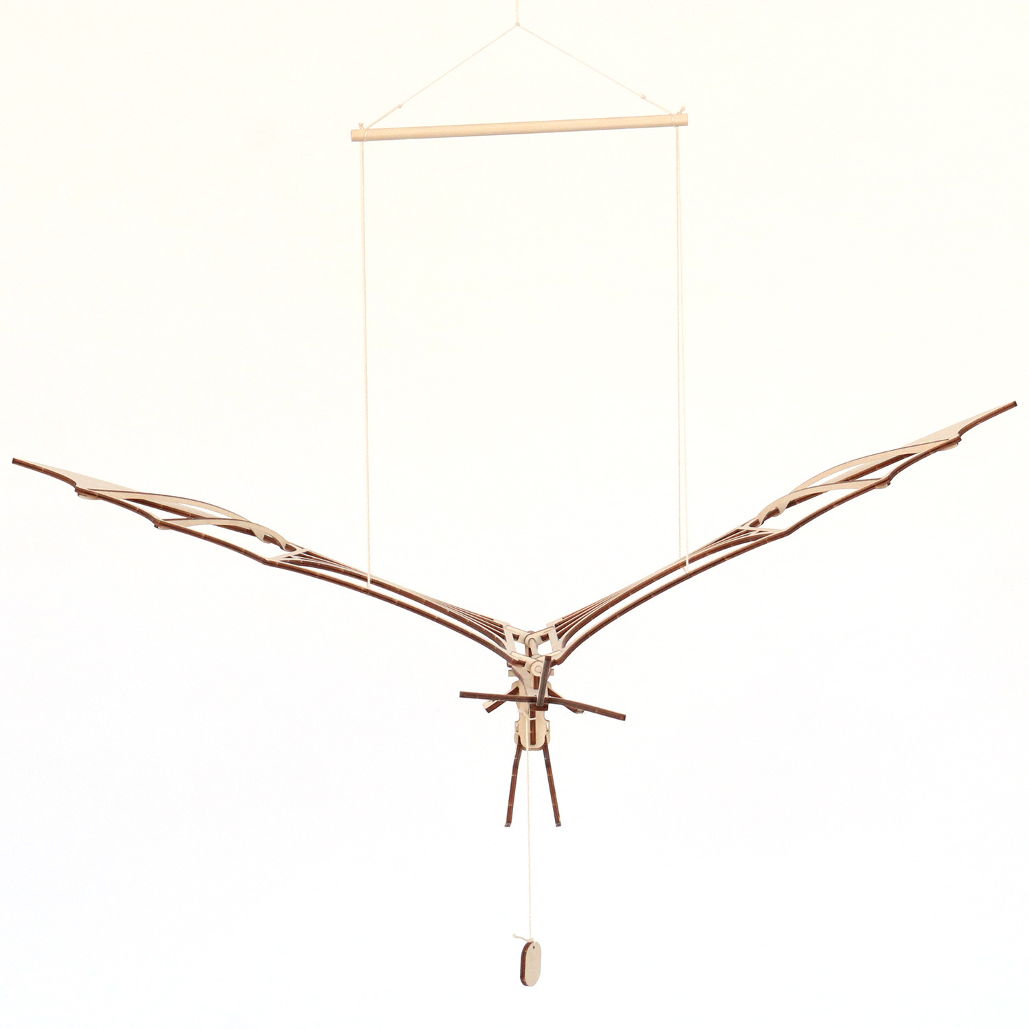 Leonardos Ornithopter