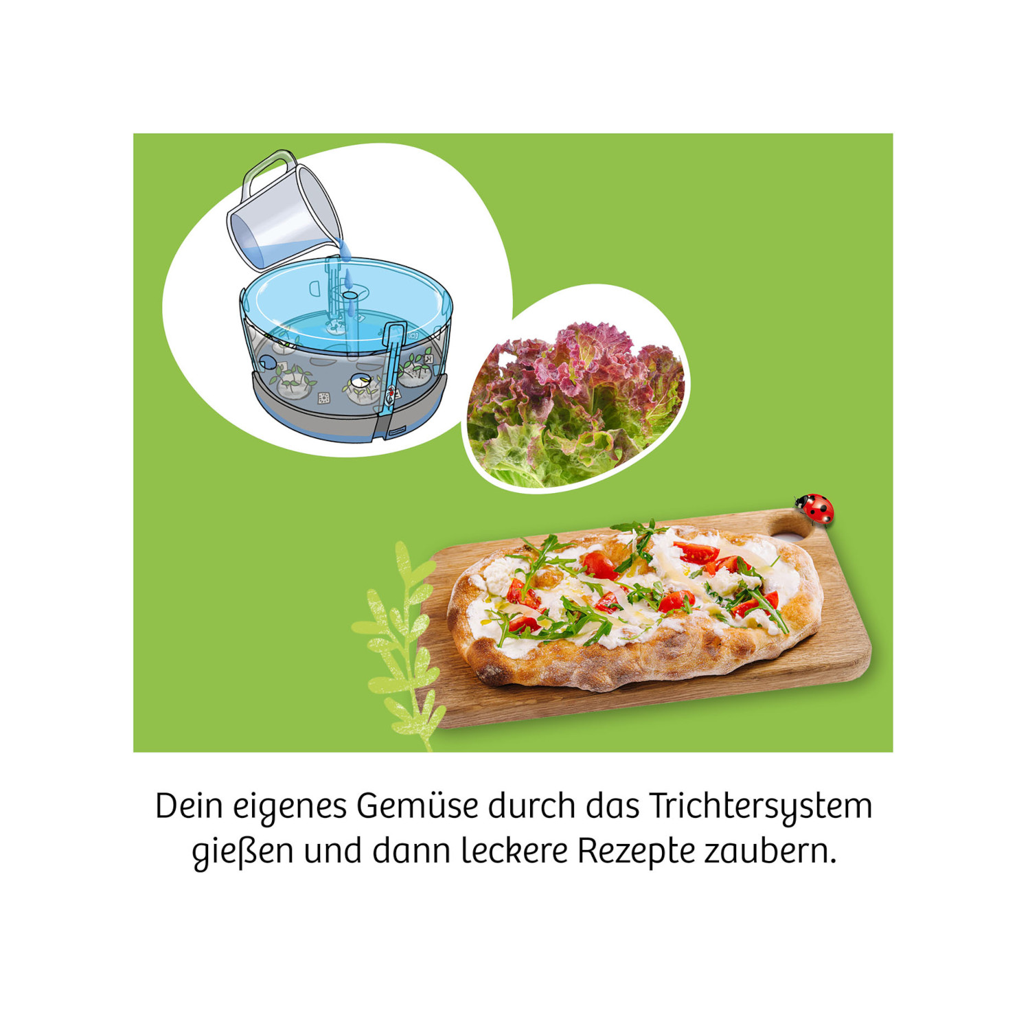 Experimentierset Hydro-Garten