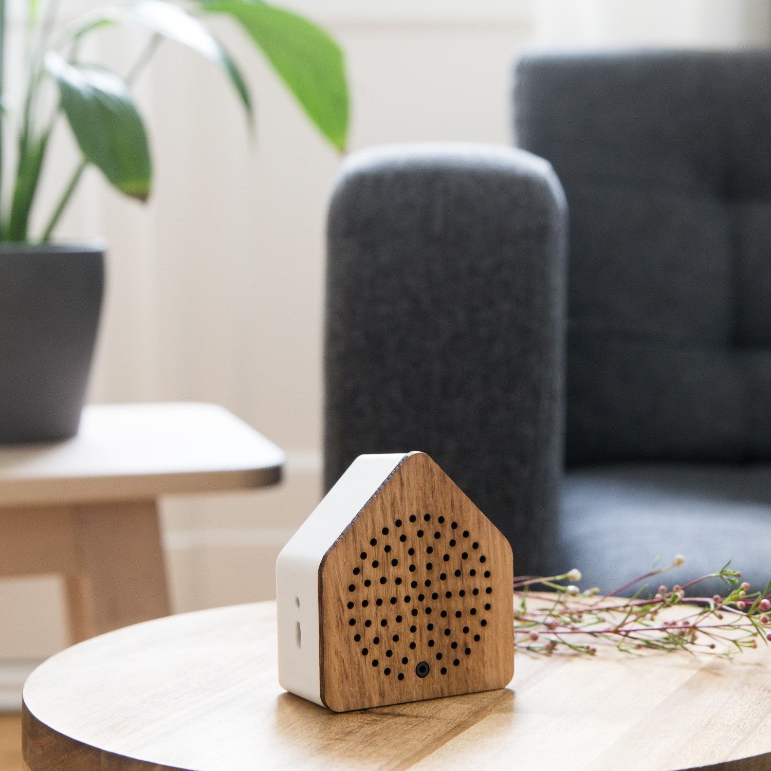 Zirpybox Wood - 2erSet