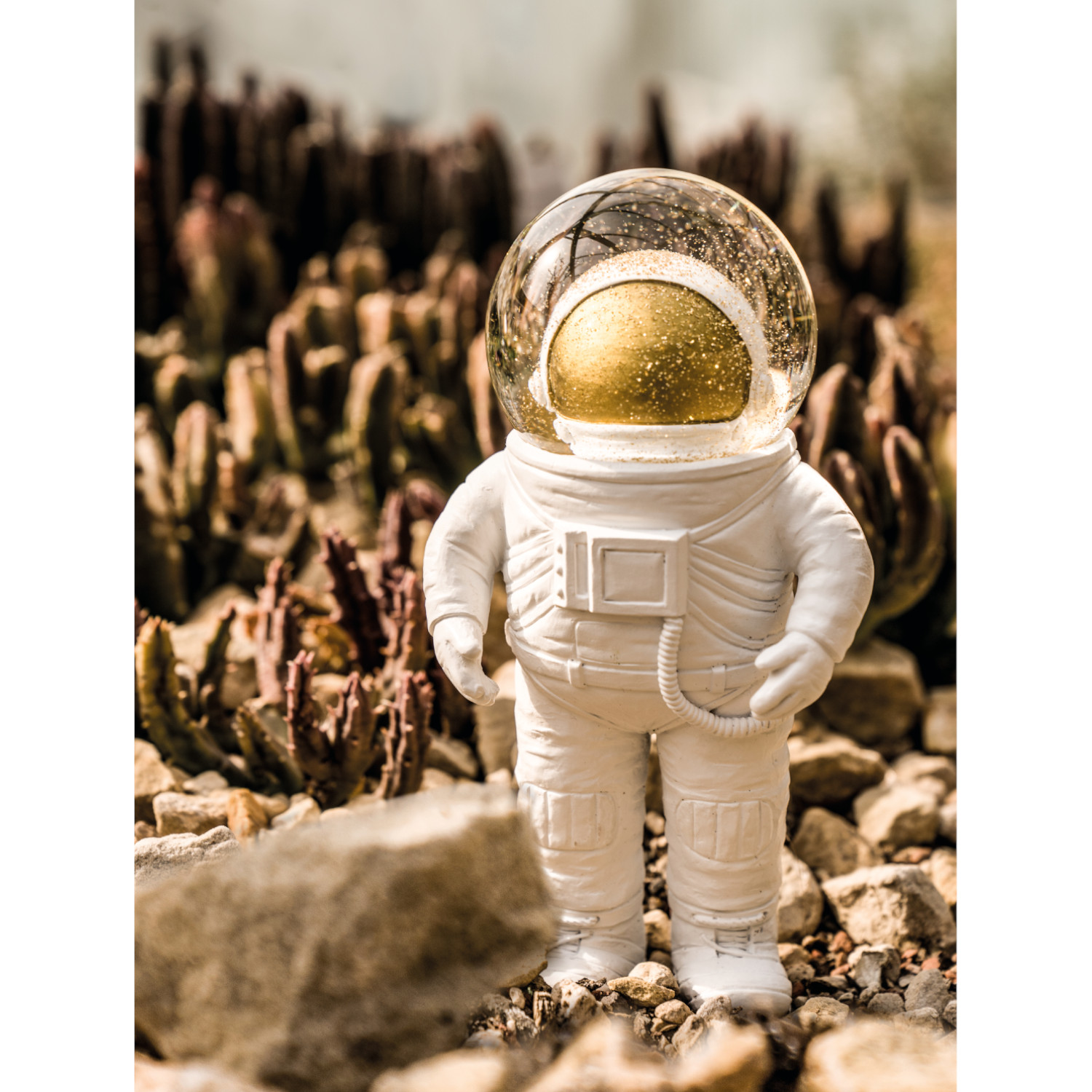 THE ASTRONAUT, klein