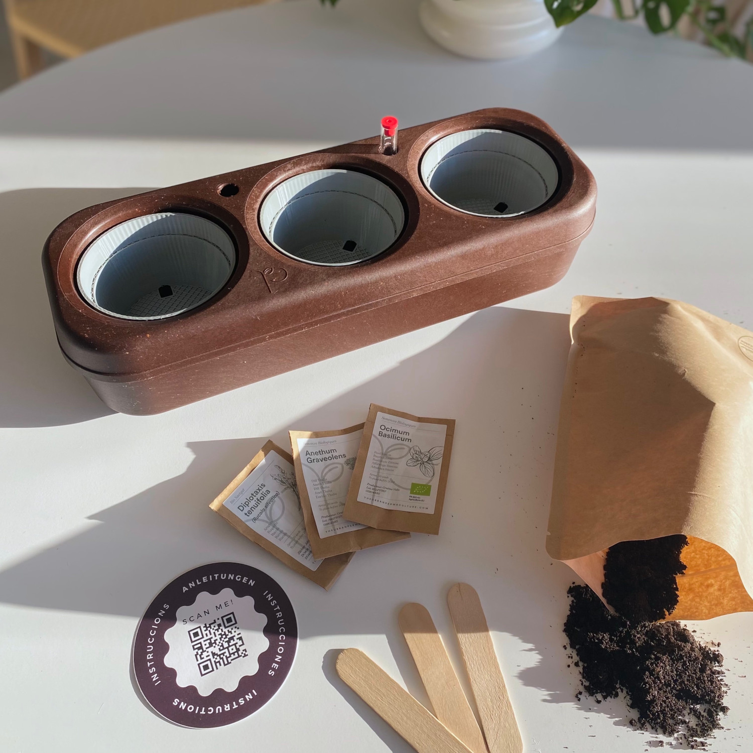 pbox Kork Gemüsegarten Set mit Zitronenbasilikum