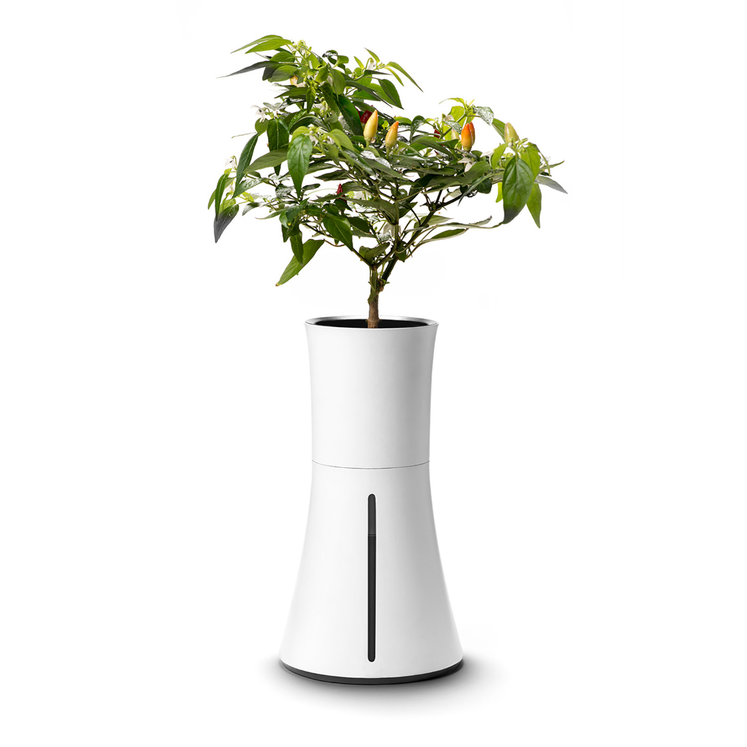 Botanium - Weiss Botanium - Weiss