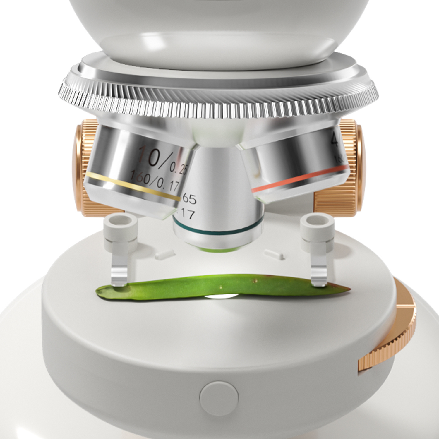 Mikroskop 1600 Labor Set /Microsope 1600 Lab Set