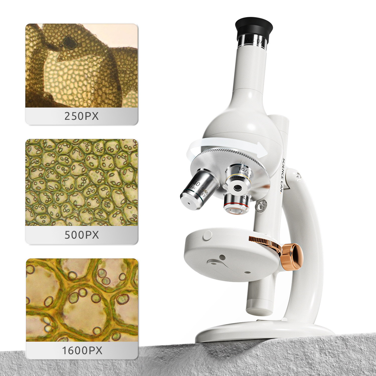 Mikroskop 1600 Labor Set /Microsope 1600 Lab Set