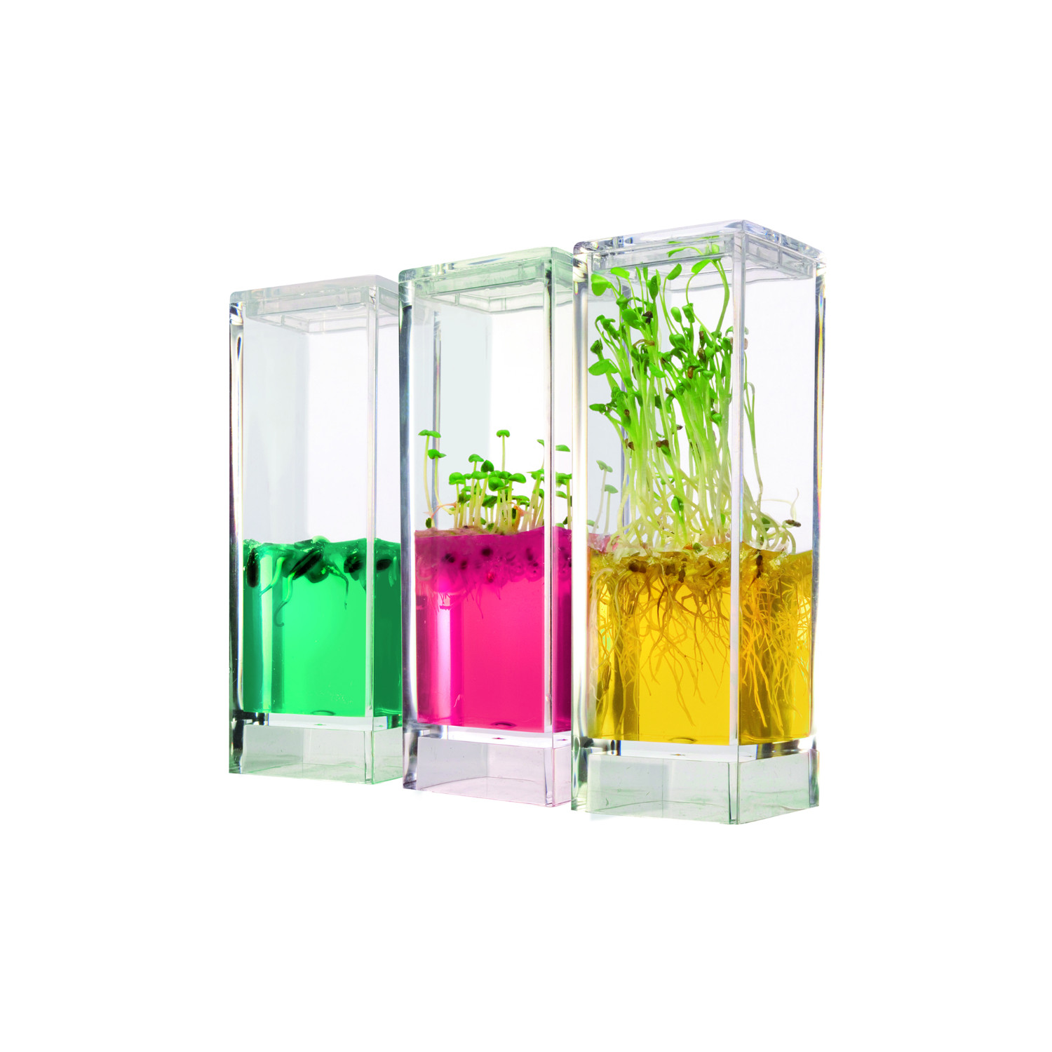 Plantarium Garten LAB 