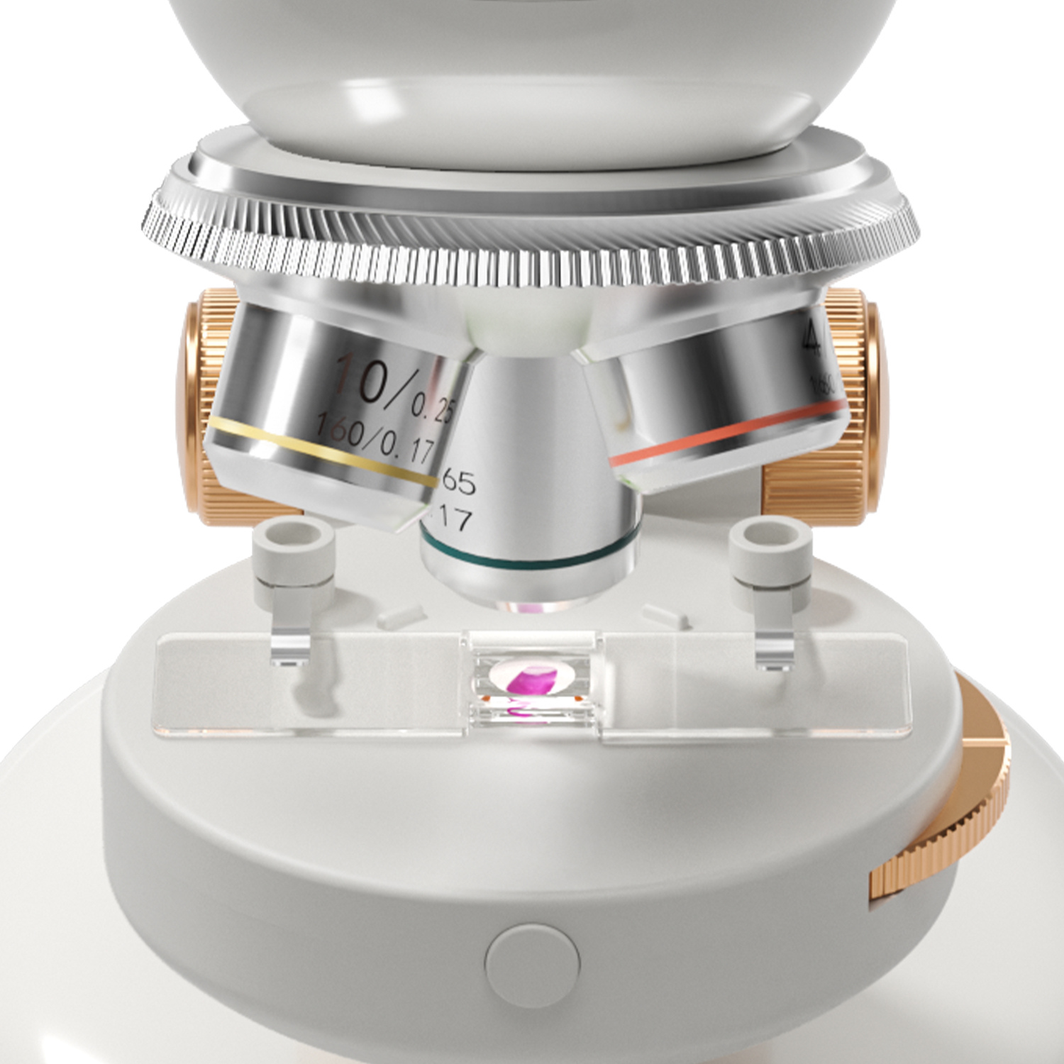 Mikroskop 1600 Labor Set /Microsope 1600 Lab Set