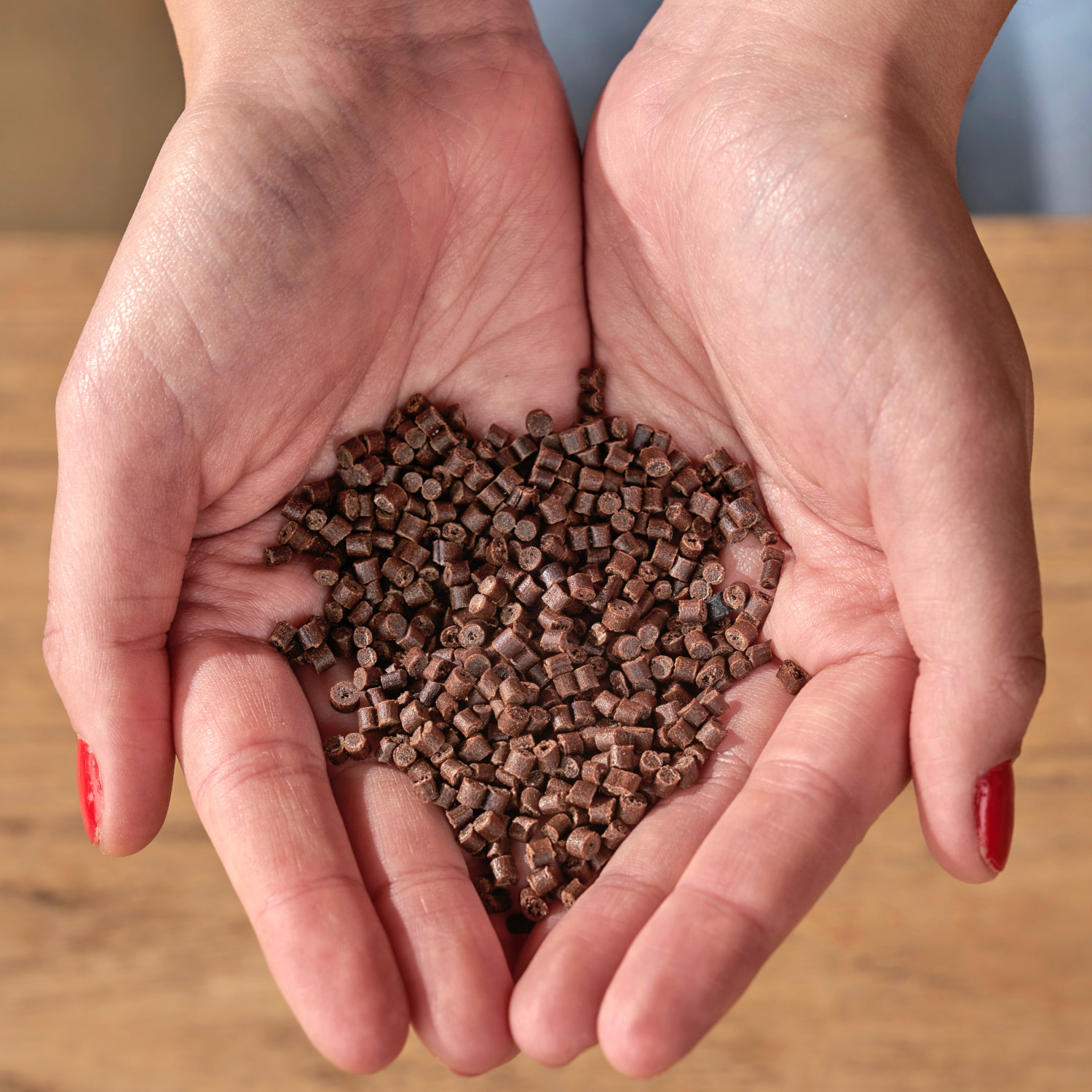 pbox Kork Gemüsegarten Set mit Zitronenbasilikum