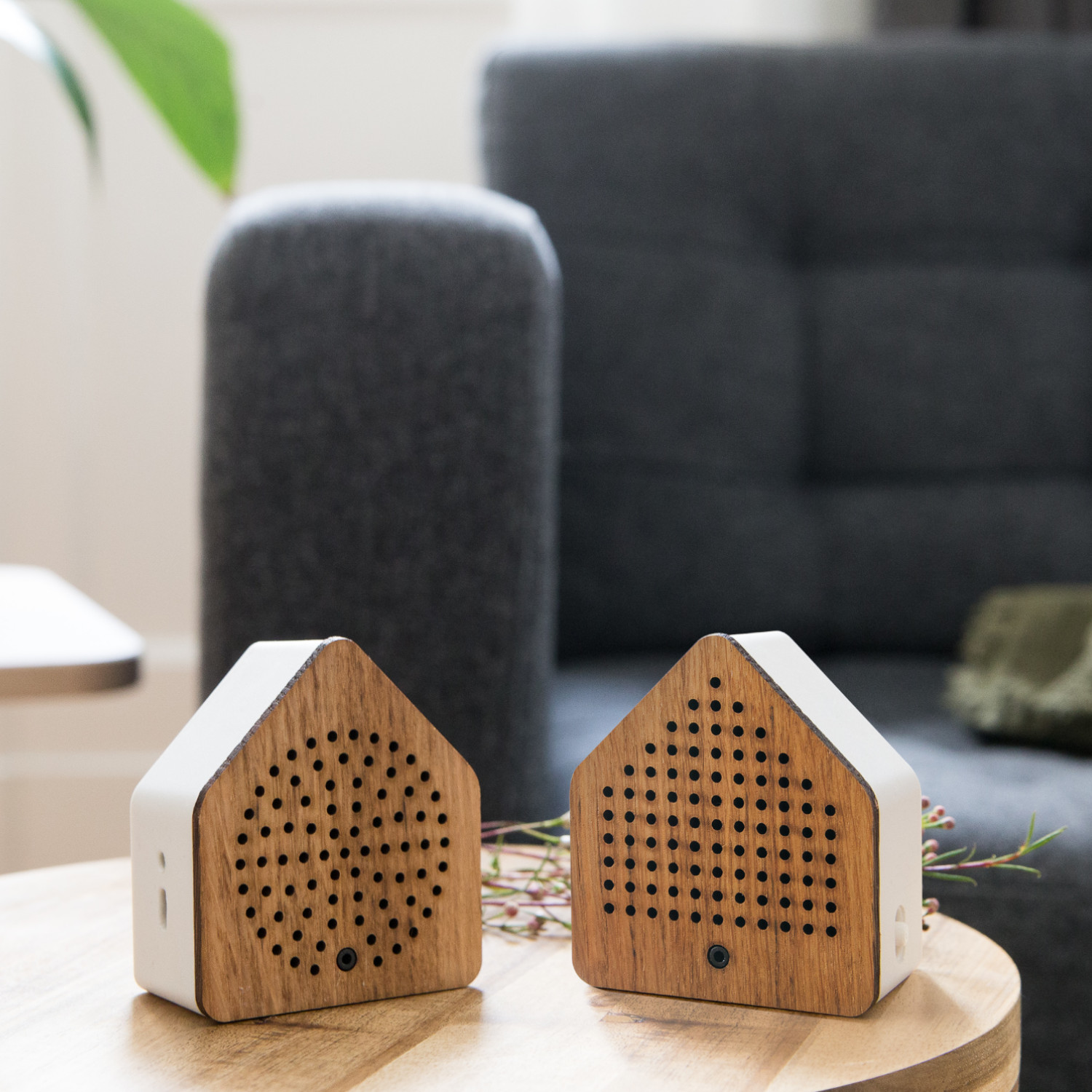 Zirpybox Wood - 2erSet