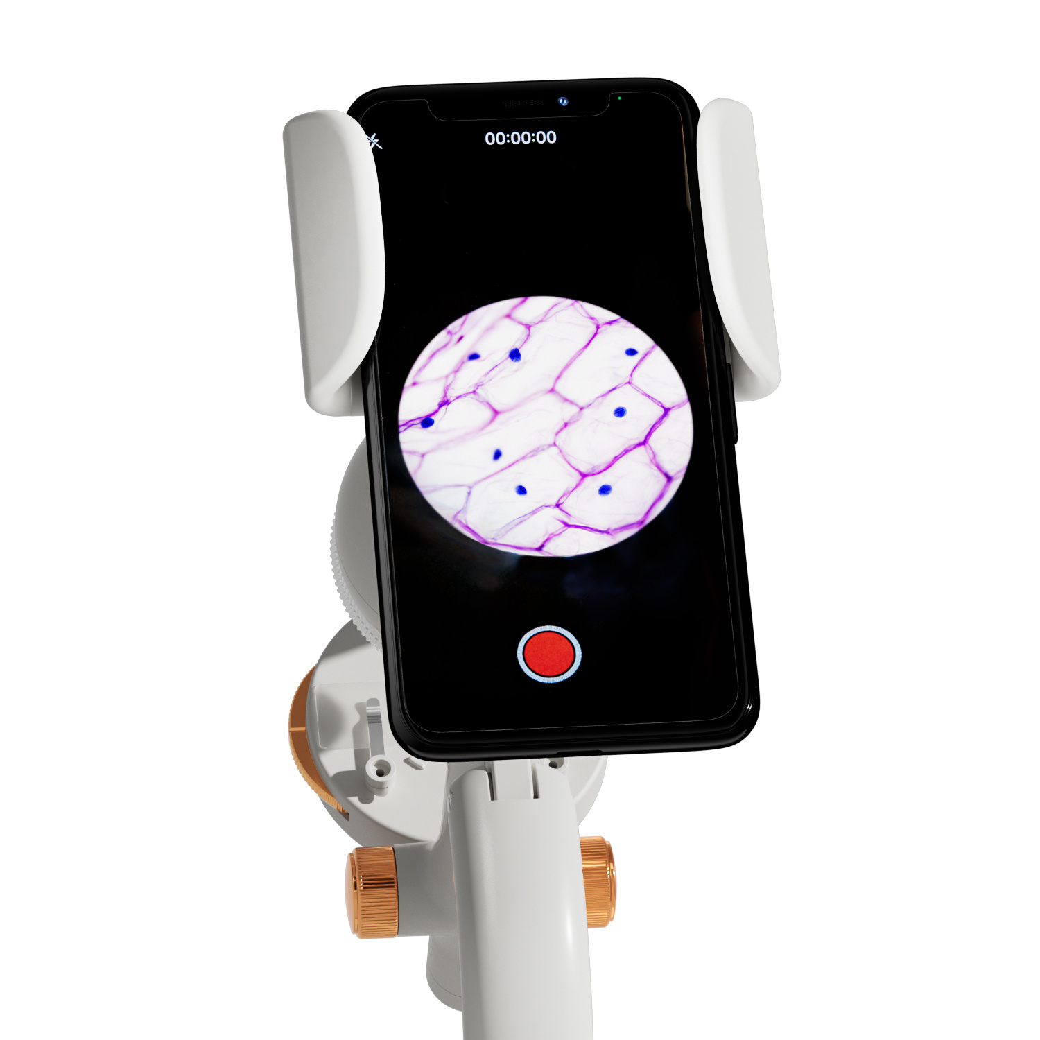 Mikroskop 1600 Labor Set /Microsope 1600 Lab Set