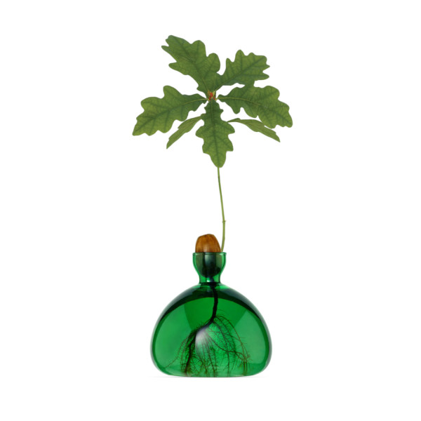 Eichel-Vase - Smaragdgrün