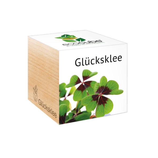 Ecocube - Glücksklee