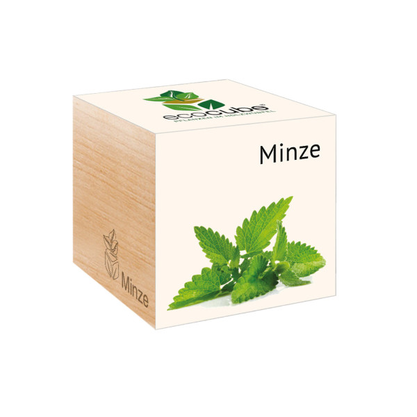 Ecocube - Minze