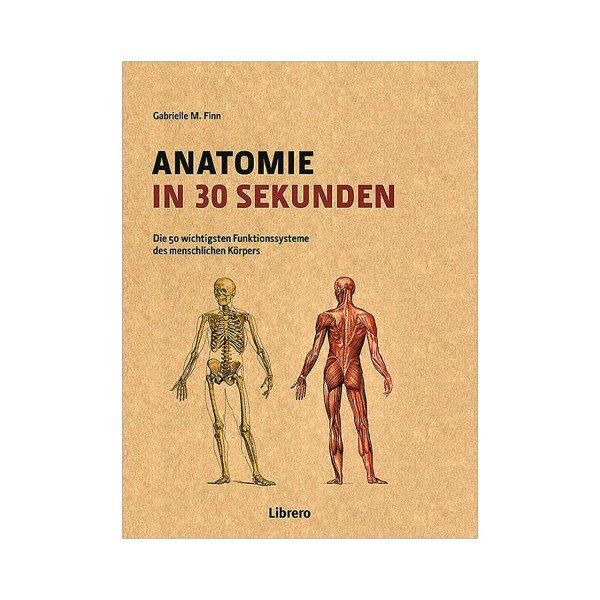 Anatomie in 30 Sekunden