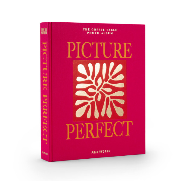 PHOTO ALBUM - Picture Perfect