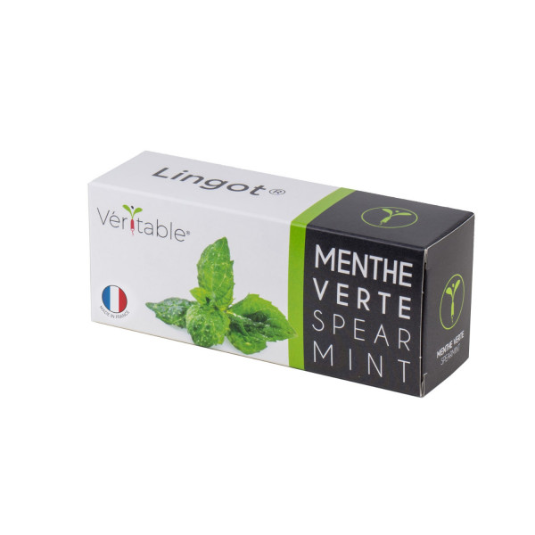 VERITABLE Lingot Nachfüllpack Krause Minze