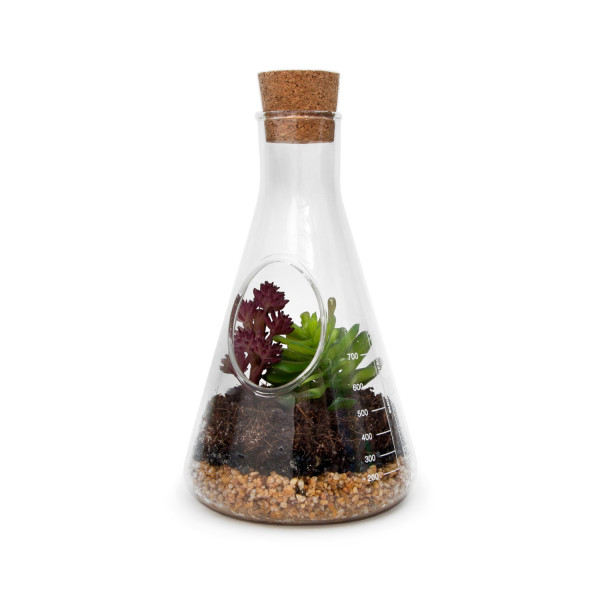 Chemistry Terrarium Kit