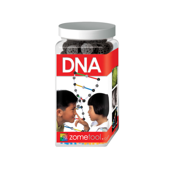 Zometool DNA